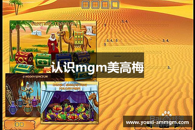 认识mgm美高梅